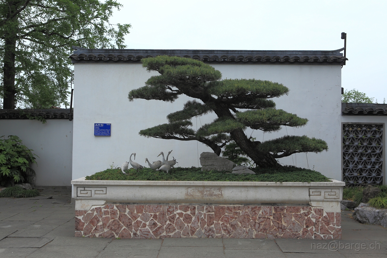 EOS 5D Mark II16_04_20135041.JPG